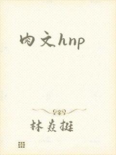 肉文hnp