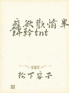 瘾欲欢愉半块小饼干tnt