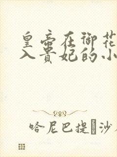 皇帝在御花园进入贵妃的小说