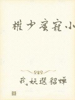 权少蜜宠小娇妻