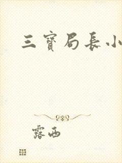 三宝局长小说