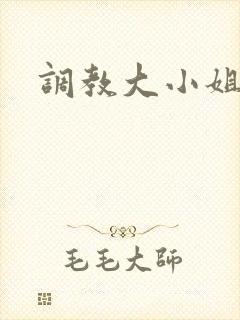 调教大小姐封面