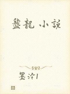 盘龙 小说