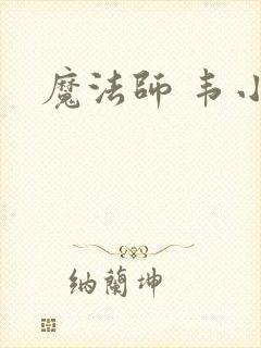 魔法师 韦小宝