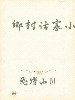 乡村活寡小说封面