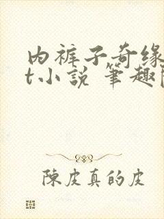 内裤子奇缘txt小说 笔趣阁