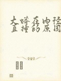 大蟒在内径横冲直撞的原因