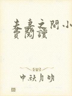夫妻之间小说免费阅读