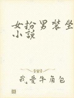 女扮男装坐江山小说