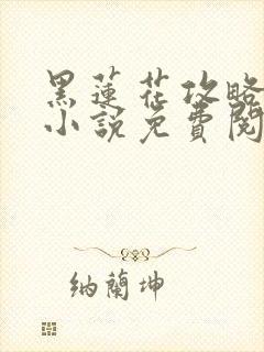 黑莲花攻略手册小说免费阅读全文封面
