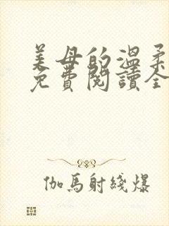 美母的温柔小说免费阅读全文笔趣阁封面