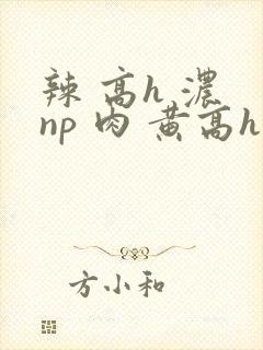 辣 高h 浓 np 肉 黄高h