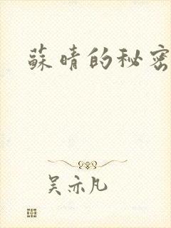 苏晴的秘密小说