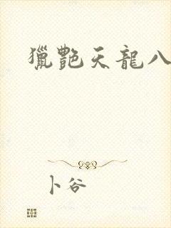 猎艳天龙八部封面