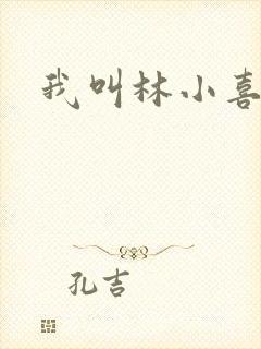我叫林小喜17