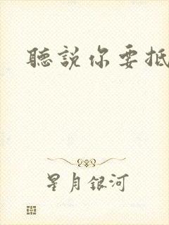 听说你要抵抗我封面