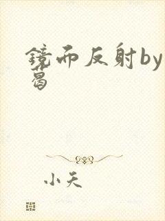 镜面反射by九葛封面