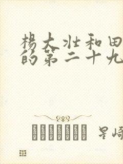 杨大壮和田桂花的第二十九