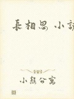 长相思 小说