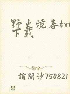 野火烧春txt下载