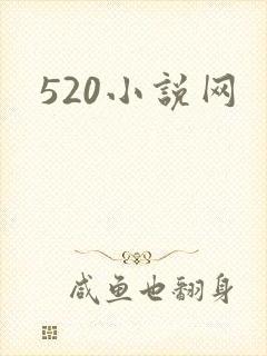 520小说网封面