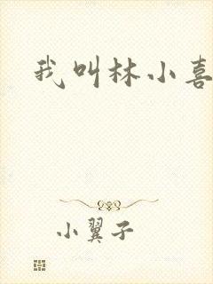 我叫林小喜17封面