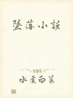 坠落小说封面