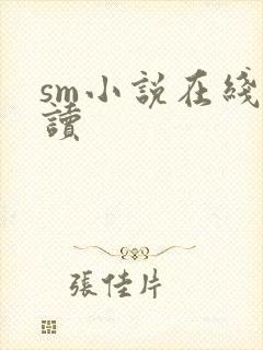 sm小说在线阅读