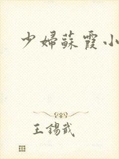 少妇苏霞小说