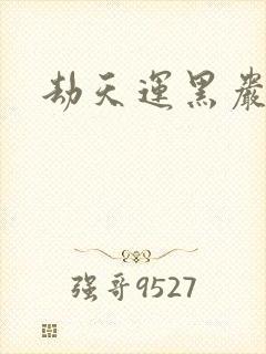 劫天运黑岩