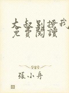 大叔别撩我小说免费阅读