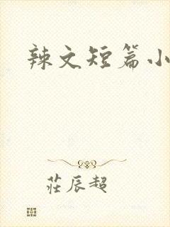 辣文短篇小说