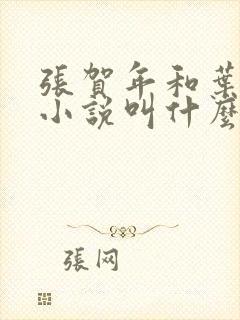张贺年和叶繁姿小说叫什么名字