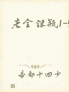 老金银瓶1-5
