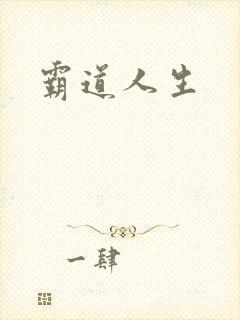 霸道人生封面