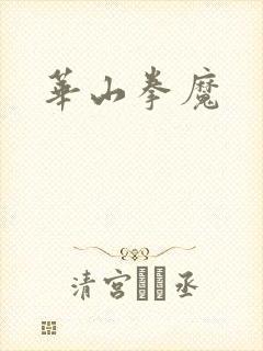 华山拳魔