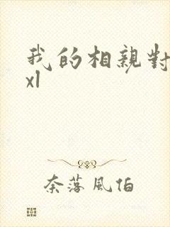 我的相亲对象是xl封面
