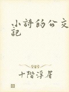 小诗的公交车日记