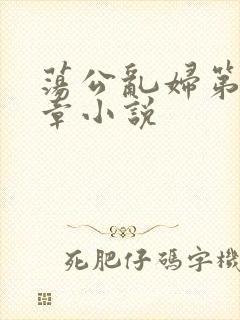 荡公乱妇第51章小说