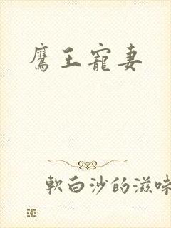 鹰王宠妻