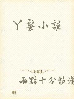 丫鬟小说