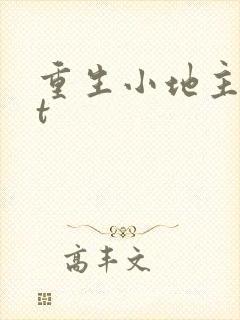 重生小地主txt