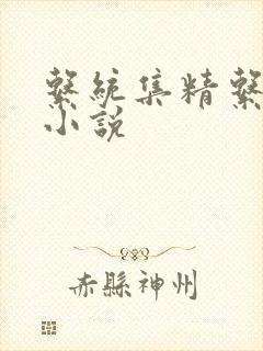 系统集精系统 小说封面