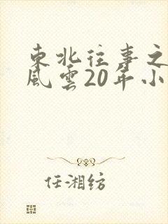 东北往事之黑道风云20年小说