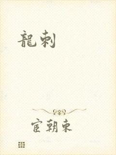 龙刺封面