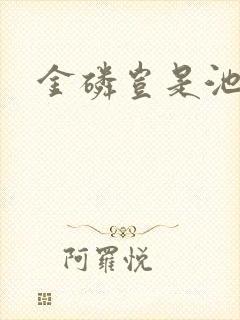 金磷岂是池中物封面
