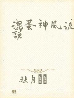 混蛋神风流史小说封面