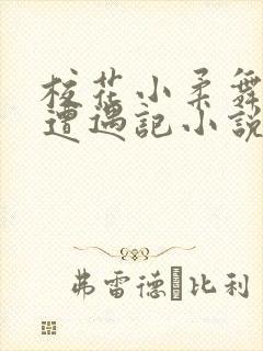 校花小柔舞蹈室遭遇记小说封面