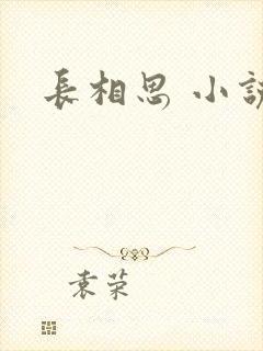长相思 小说