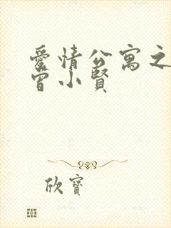 爱情公寓之极品曾小贤